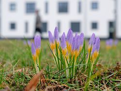 Bis zu 20 Grad möglich: Der Frühling schickt einen ersten Wärmeschub