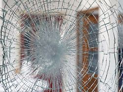 Wechsel kann sich lohnen: Privathaftpflicht-Test: Besserer Schutz für weniger Beitrag