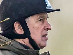 Viele Vorwürfe gegen Ex-Royal: Festnahme am Geburtstag - Der Absturz des Prinzen Andrew