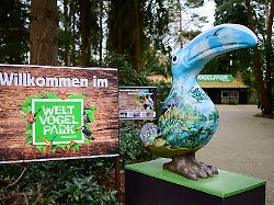 Niedersachsen & Bremen: Vogelgrippe im Vogelpark Walsrode nachgewiesen