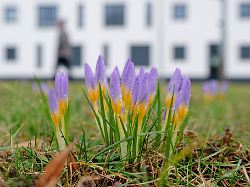 Baden-Württemberg: Regen entspannt Lawinenlage – Sonne kehrt zurück