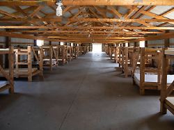 USA werden zum Auswanderungsland: Trumps Abschiebe-Schock schadet US-Arbeitern