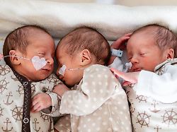 Bayern: Eineiige Drillinge in Bamberg geboren