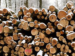 Baden-Württemberg: Weinig streicht 400 Jobs – Produktion zieht um