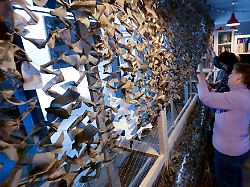 Mecklenburg-Vorpommern: Vier Jahre nach Kriegsbeginn: Wie MV der Ukraine hilft