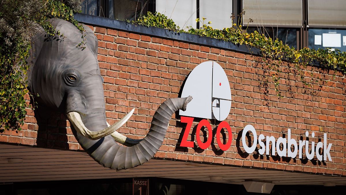 Verdacht auf Vogelgrippe im Zoo Osnabrück