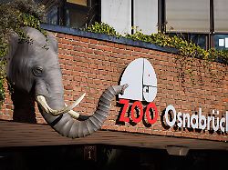 Niedersachsen & Bremen: Verdacht auf Vogelgrippe im Zoo Osnabrück