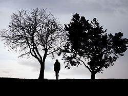 Wieso Winterblues?: Was das Wetter mit der Psyche macht