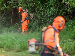 Keine Pflicht: Dobrindt hat einen "Sofort-in-Arbeit-Plan" für Asylbewerber