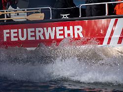 Bayern: Dutzende tote Schwäne an Badesee - Vogelgrippe?