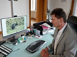 Rheinland-Pfalz & Saarland: Entflohenes Känguru ist wieder da