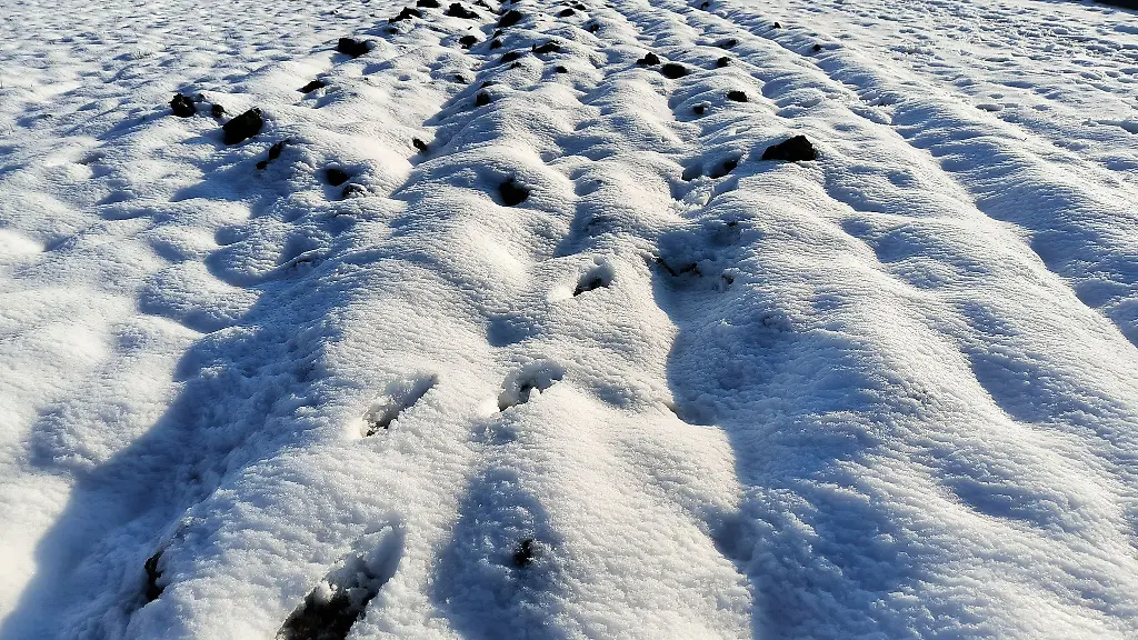 Schnee-und-Frost-sorgen-im-Winter-dafuer-dass-Pflanzen-in-die-Winterruhe-versetzt-und-die-Bodenstruktur-auf-den-landwirtschaftlichen-Feldern-gelockert-wird