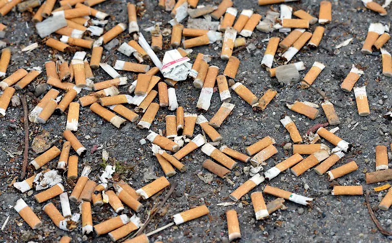 Weggeworfene-Zigarettenkippen-verschmutzen-einen-Gehweg-aufgenommen-am-27-01-2016-in-Freiburg