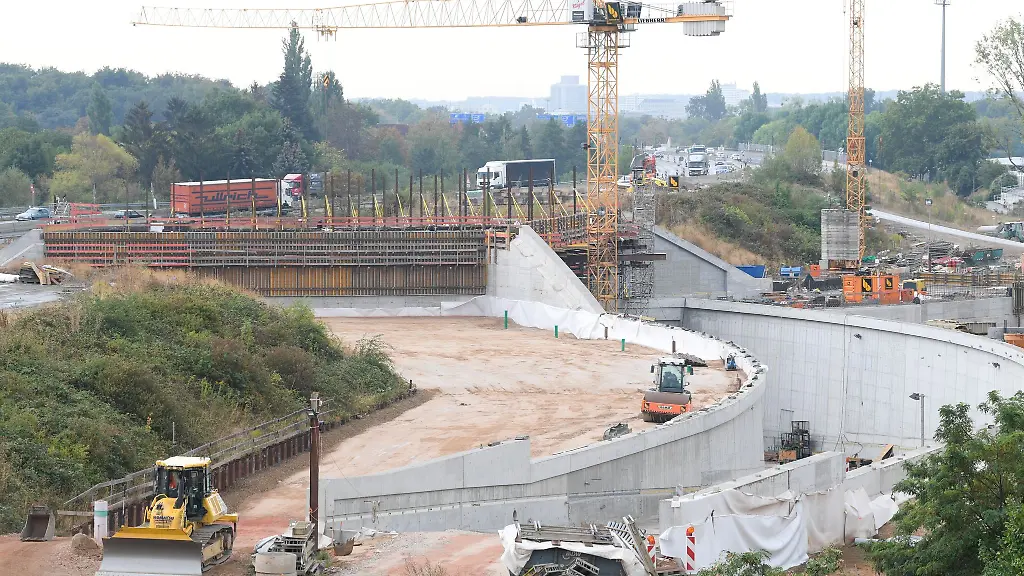 Im-Fechenheimer-Wald-werden-die-letzten-Baeume-fuer-den-Riederwaldtunnel-gerodet-Die-Polizei-ist-vor-Ort-Proteste-bleiben-aus