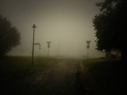 "Bitte bleib. Du bist wichtig.": Warum es in der Suizidprävention mehr Mozart braucht