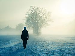 Reich. Privilegiert. Tödlich.: Gefangen im "Eisnebel" der Daltons