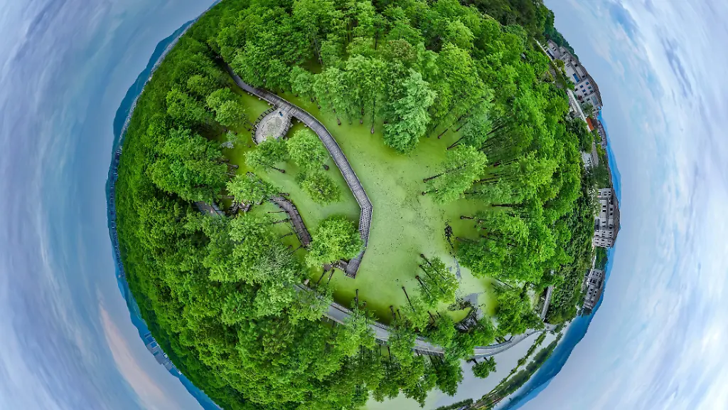 Aerial-photo-shows-the-summer-scenery-of-a-water-forest-park-in-Hangzhou-City-east-China-s-Zhejiang-Province-8-July-2025