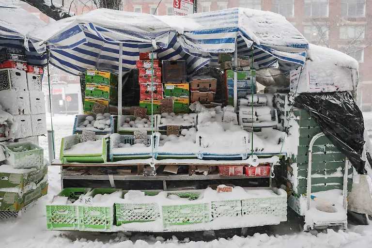 Fruits-and-vegetables-are-covered-in-snow-during-a-winter-storm-in-New-York-City-U-S-February-23-2026