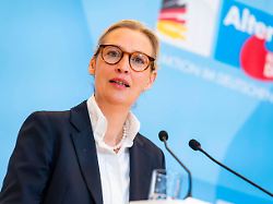 Parteien fordern klare Regeln: AfD-Spitze weist Vorwürfe der Vetternwirtschaft zurück