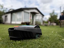 Tausende wollen Igel schützen: Petition fordert bundesweites Nachtfahrverbot für Mähroboter