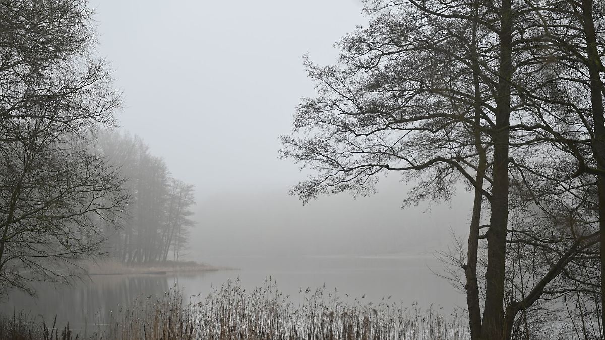 Im Grunewald kracht es – aber nur aus Ausbildungsgründen