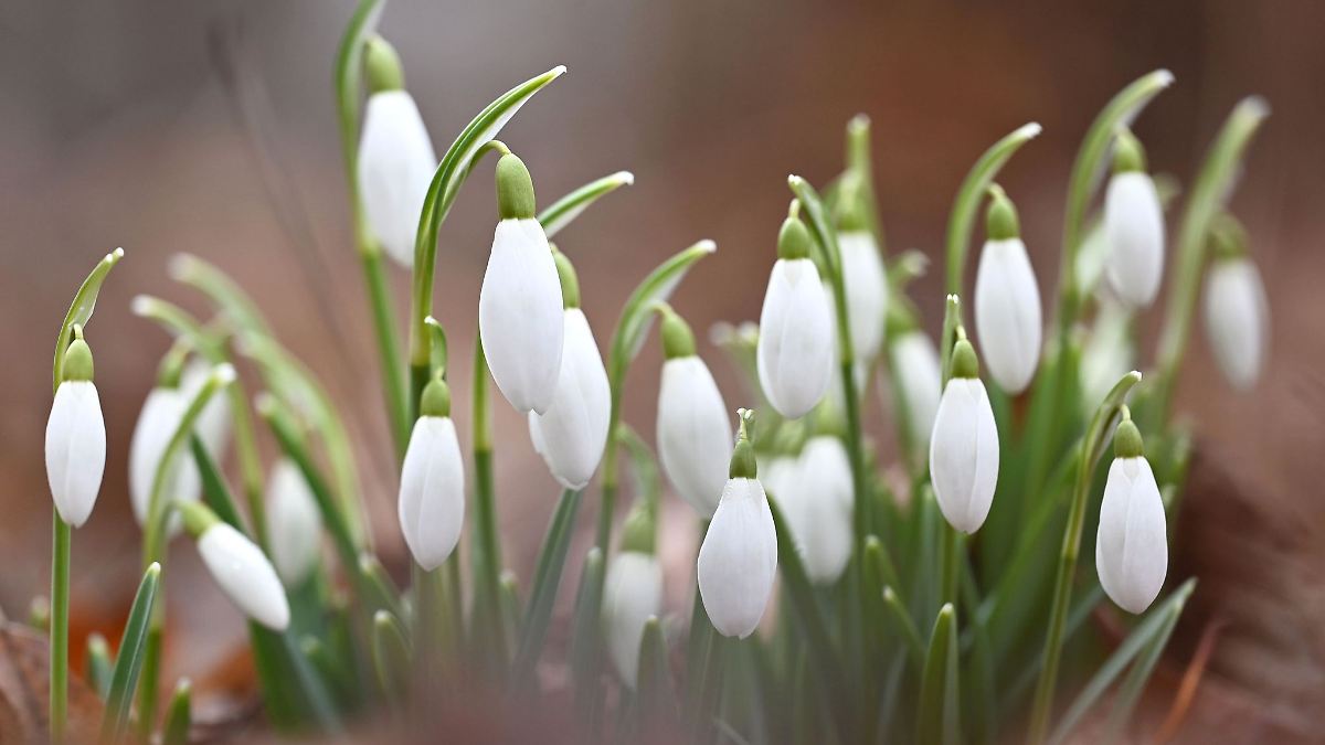 Nebel hält sich hartnäckig – Sonne nur in höheren Lagen