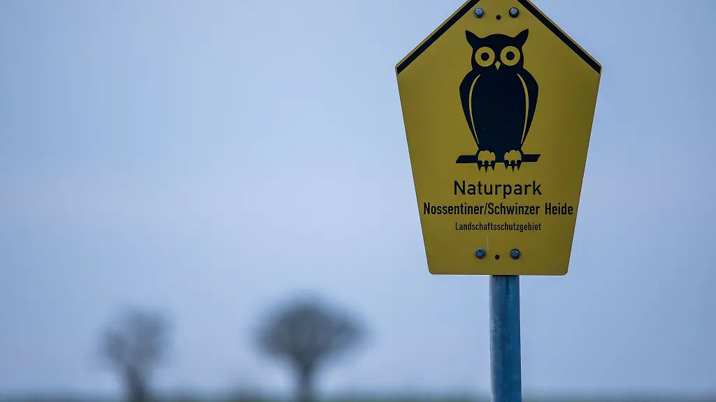 Die-Muehen-haben-sich-gelohnt-Der-Naturpark-Nossentiner-Schwiner-Heide-ist-Internationaler-Sternenpark
