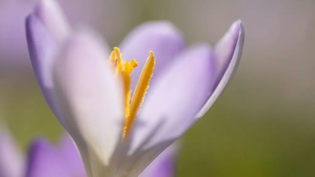 Am-Freitag-wackelt-der-Rekord-fuer-den-waermsten-Februar-Tag