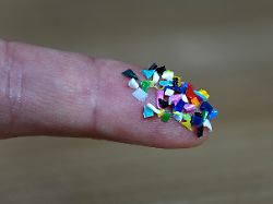 Neue Daten aus den USA: Mikroplastik auffällig häufig in Prostatakrebs-Tumoren gefunden