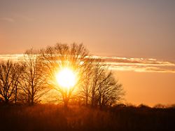 Der Frühling hält Einzug: "Ein Rückfall in den Winter ist nicht in Sicht"