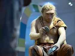 50.000 Jahre alter DNA-Mix: Neandertaler-Männer nahmen sich Menschen-Frauen