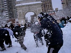 Spaß-Event wird zum Politikum: Mann nach Schneeballschlacht in New York festgenommen