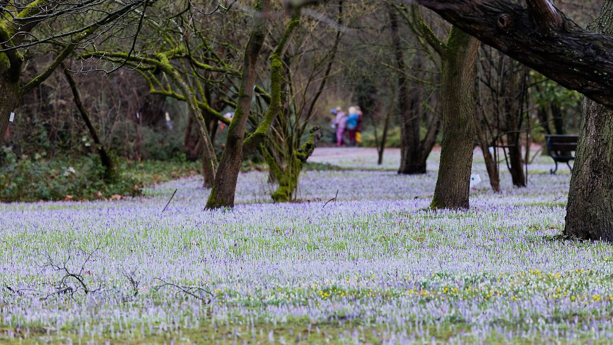 Wolken und zweistellige Werte in Nordrhein-Westfalen