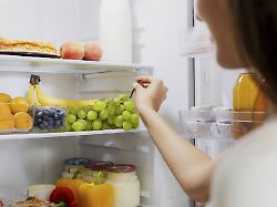 Wie man gegensteuern kann: In Kühlschränken tummeln sich viele verschiedene Mikrobenarten