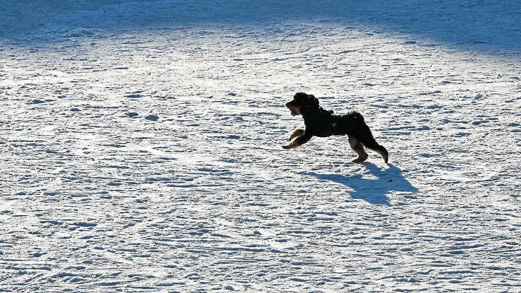 Zahlreiche-Gewaesser-in-Berlin-waren-tagelang-zugefroren