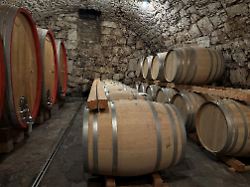 Packt mit an, liebe Besucher!: Was Südtirols neuen Weintourismus so einzigartig macht