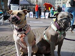 Wieduwilts Woche: Zurück zu mehr Meinungsfreiheit: drei Vorschläge