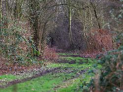 Nordrhein-Westfalen: Polizei Duisburg nimmt 23-Jährigen fest