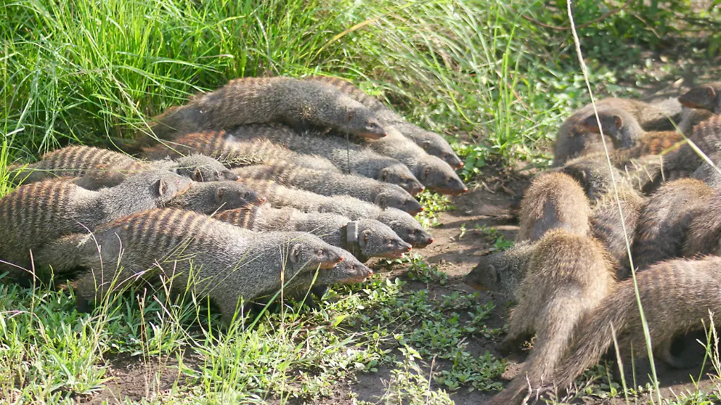 urn-binary-dpa-com-20090101-201106-90-016844-FILED