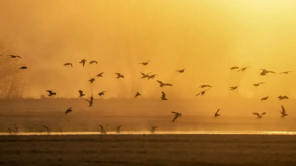 DWD-Wo-am-Sonntag-die-Sonne-hervorkommen-koennte