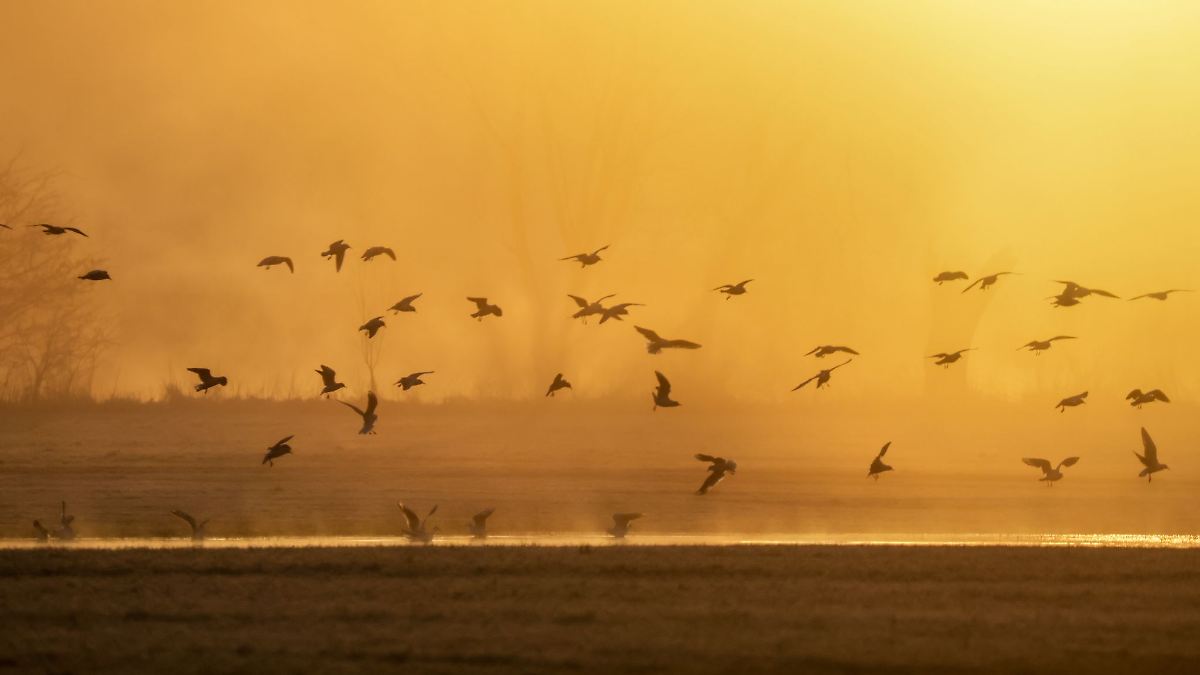 Trister Sonntag - Wo es am ehesten freundlich werden k&ouml;nnte