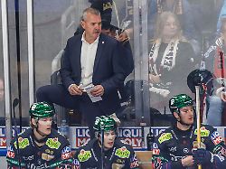 Berlin & Brandenburg: Eisbären Berlin verlieren mit 1:3 gegen Bremerhaven