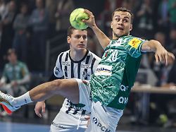 Berlin & Brandenburg: Füchse Berlin schlagen Rhein-Neckar Löwen