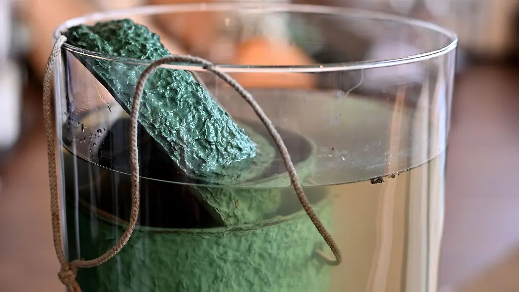 Bestatterin-Grandjean-hat-noch-keine-Urne-aus-Zellulose-gefunden-die-sich-schnell-aufloest-Archivbild