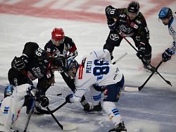 Rekordverdächtiger DEL-Appetit: Kölner Haie schaffen, was ihnen seit 26 Jahren nicht gelang