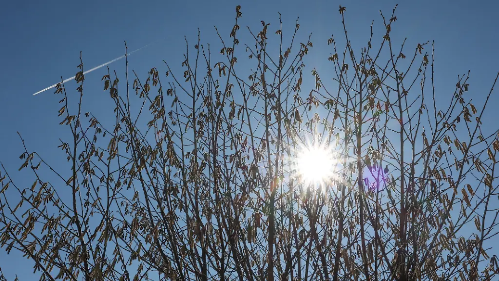 Ein-traumhafter-Vorfruehlingstag-Vorfruehlingstag-im-Siegerland-Die-Sonne-strahlt-vom-blauen-wolkenlosen-Himmel-Die-Heu-Schnupfen-Zeit-beginnt-Winter-im-Siegerland-am-02-03-2026-in-Siegen-Deutschland