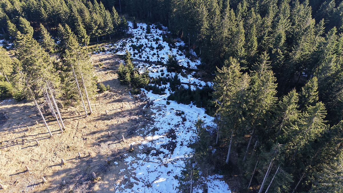10 Millionen Euro für Naturschutz im Thüringer Wald