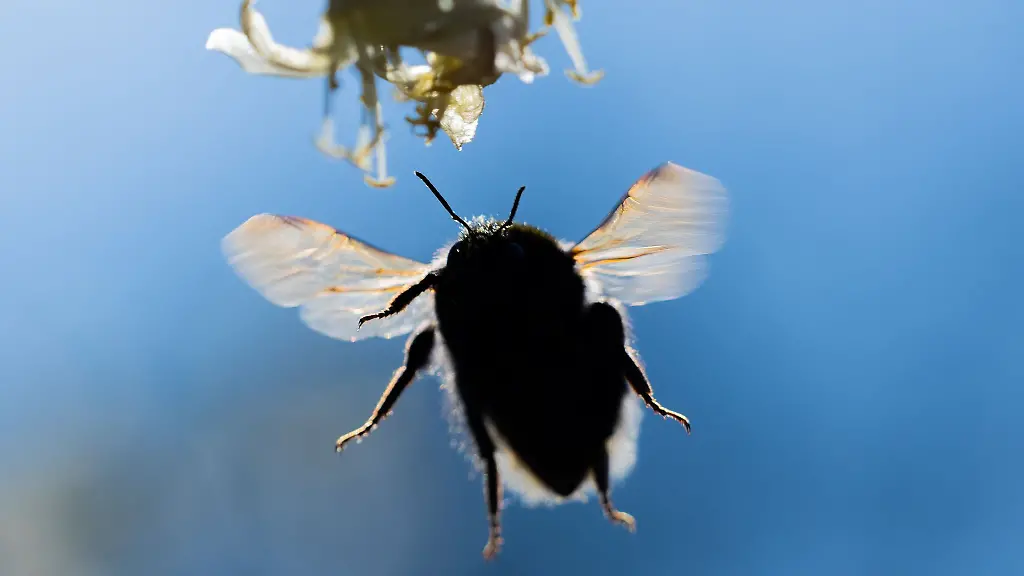 Am-Dienstag-erwartet-der-DWD-Hoechstwerte-zwischen-16-und-19-Grad