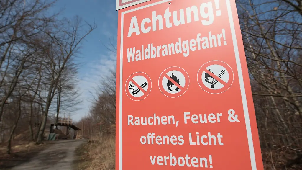 Zum-Start-der-Waldbrandsaison-gilt-in-Teilen-Sachsen-Anhalts-Gefahrenstufe-3