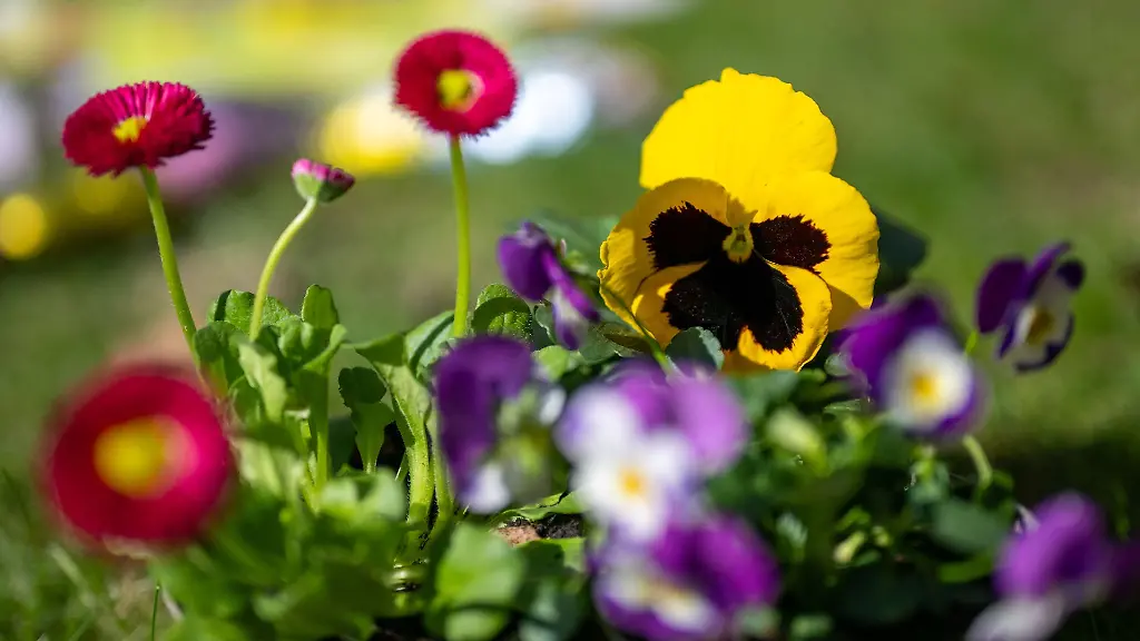 Die-Menschen-in-Nordrhein-Westfalen-erwartet-in-den-kommenden-Tagen-sonniges-Fruehlingswetter